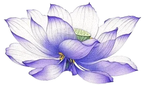 flower flower